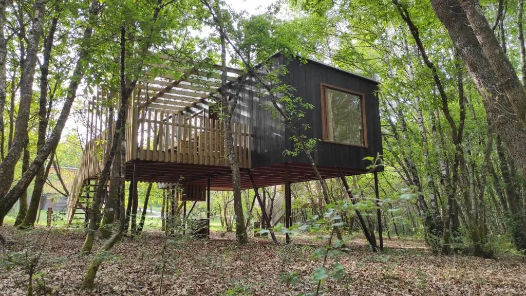 Cabaña elevada sobre pilotes entre los árboles de Cabanas das Chousas, en pleno bosque cerca de Lugo
