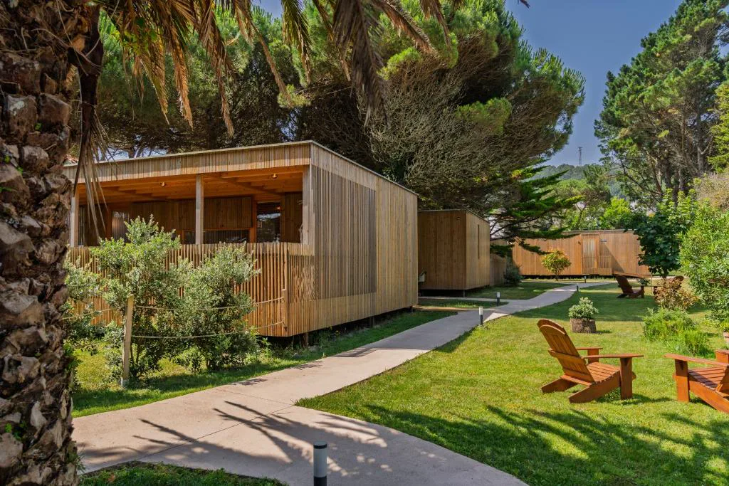 Cabañas de madera de Cabanas Narea entre pinos y palmeras, con tumbonas en el jardín, Laxe