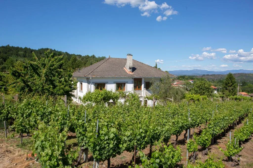 Casa clásica de dos plantas rodeada de un viñedo en terrazas, Villa con Piscina en Pantón, Ribeira Sacra