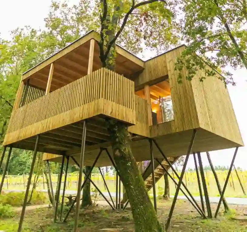 Cabaña de madera elevada entre árboles y viñedos, Enoturismo María Manuela, Boqueixón